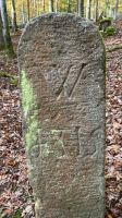 Bistumssteine 11