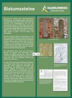 Bistumssteine 13
