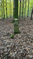 Grenzsteine 1 02