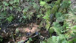 Hans Jörgen Brunnen  01