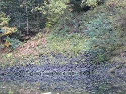 Heegkopfsee 21
