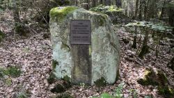 Henz Erhard Stein 03