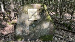 Hubschrauberabsturzstein 03