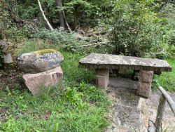 Riedemichbrunnen 06