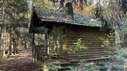 Waldhuette 1 02